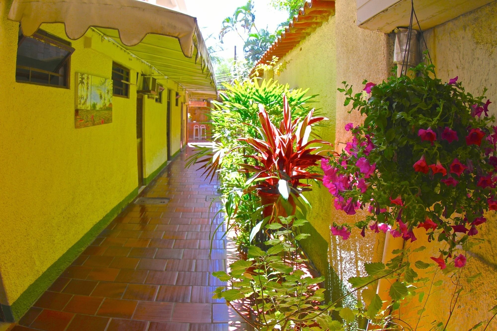 Mini-hôtel Barra Sol